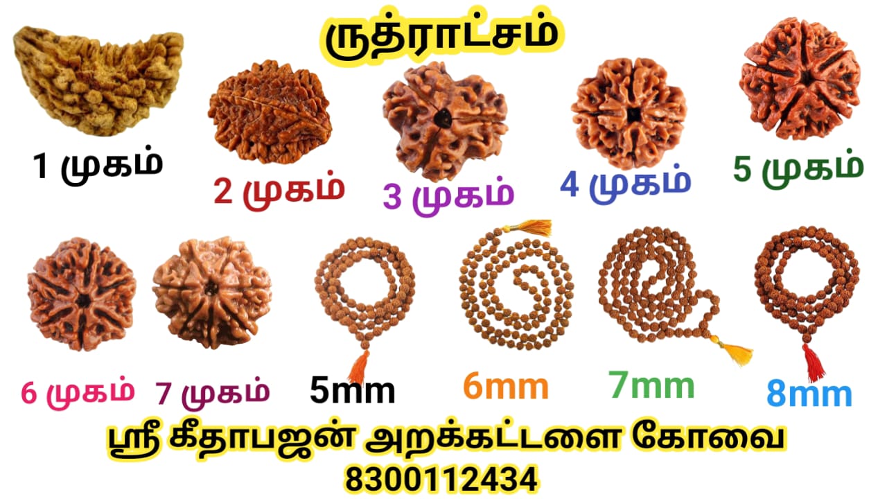WhatsApp Image 2023-12-27 at 12.34.04 PM